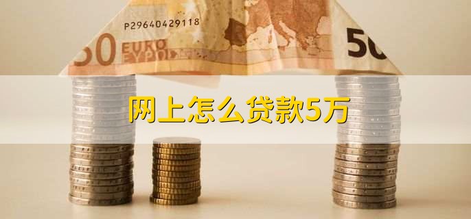 网上怎么贷款5万