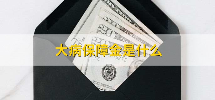 大病保障金是什么