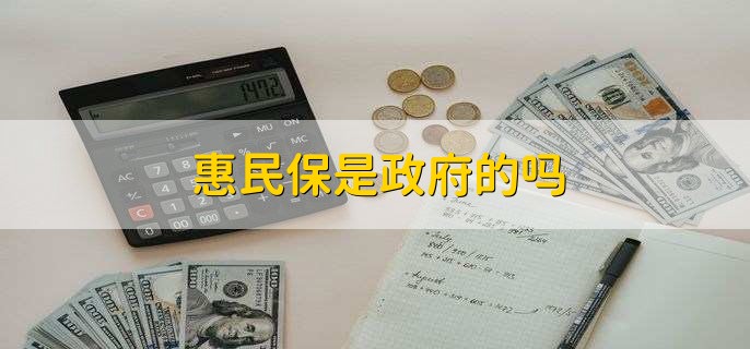 惠民保是政府的吗