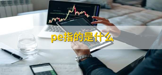 pe指的是什么