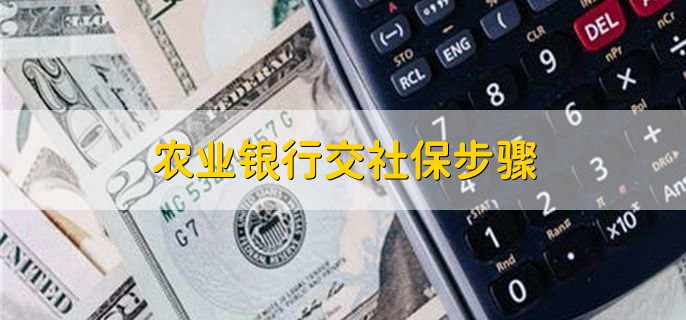 农业银行交社保步骤