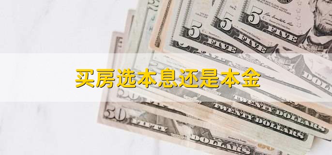 买房选本息还是本金