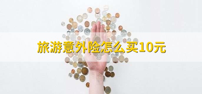 旅游意外险怎么买10元，向业务员或客服说明需求