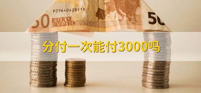 分付一次能付3000吗