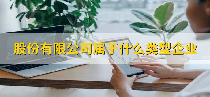 股份有限公司属于什么类型企业