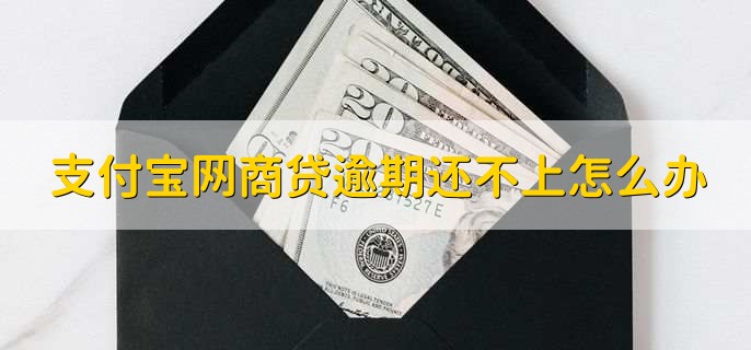 支付宝网商贷逾期了暂时还不上怎么办，申请延长还款或分期偿还