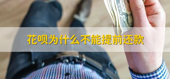 为啥我淘宝不显示花呗分期，有以下四点