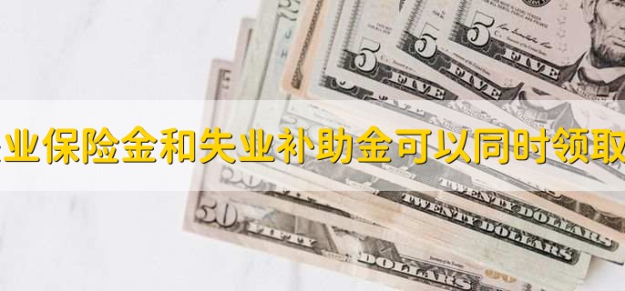 失业保险金和失业补助金可以同时领取吗，不可以