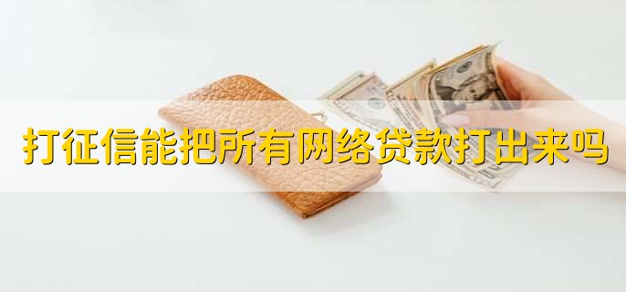 打征信能把所有网络贷款打出来吗