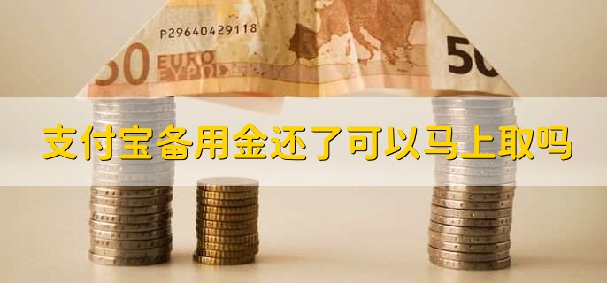 支付宝备用金还了可以马上取吗