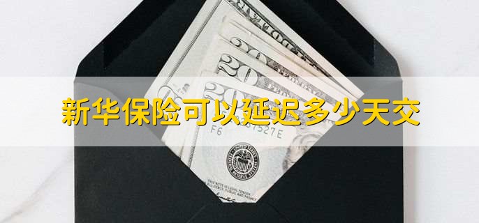 新华保险可以延迟多少天交