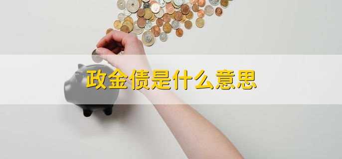 政金债是什么意思