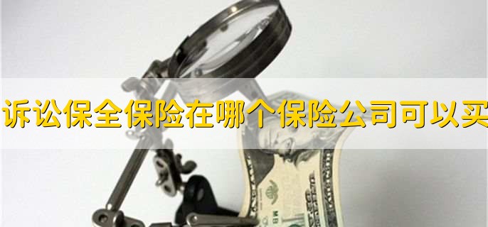 诉讼保全保险在哪个保险公司可以买