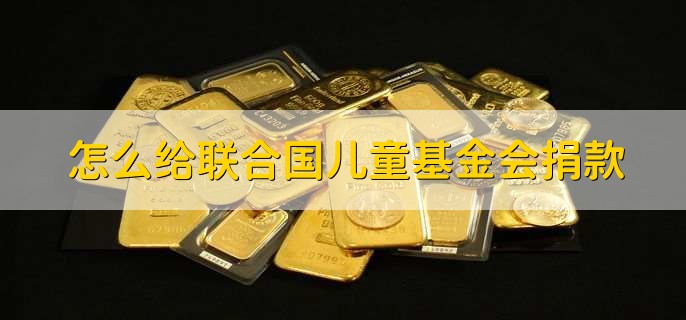 怎么给联合国儿童基金会捐款