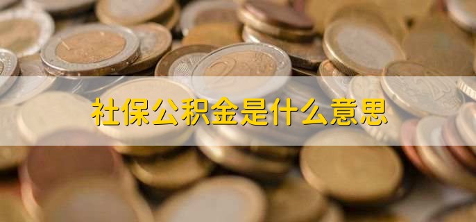 社保公积金是什么意思