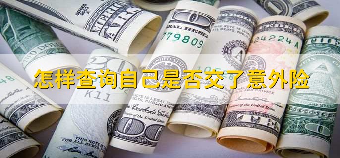 怎样查询自己是否交了意外险