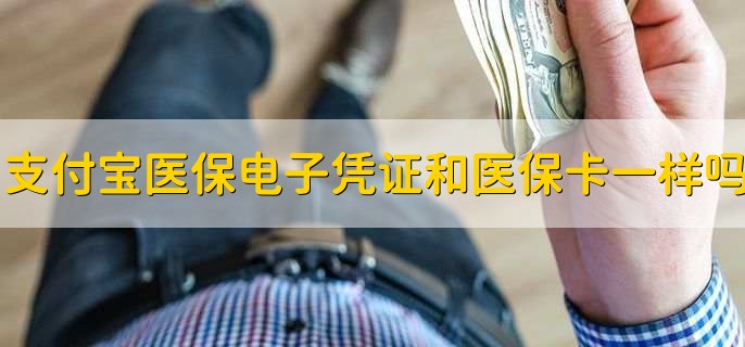 支付宝医保电子凭证和医保卡一样吗