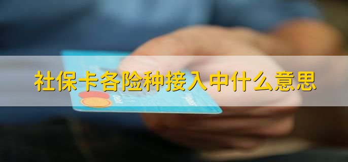 社保卡各险种接入中什么意思