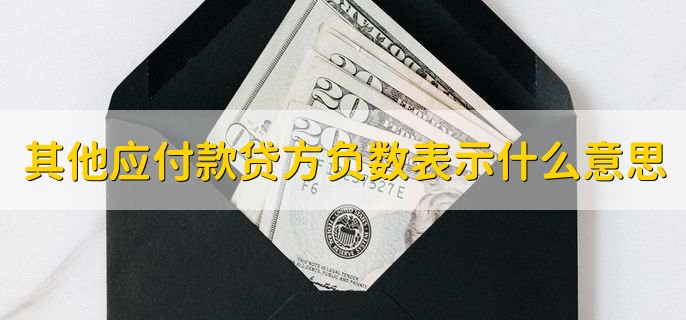 其他应付款贷方负数表示什么意思