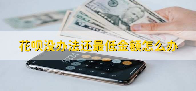 花呗没办法还最低金额怎么办