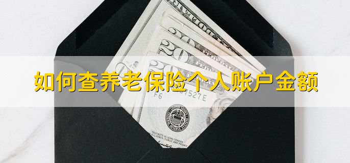 如何查养老保险个人账户金额，有以下三种方式