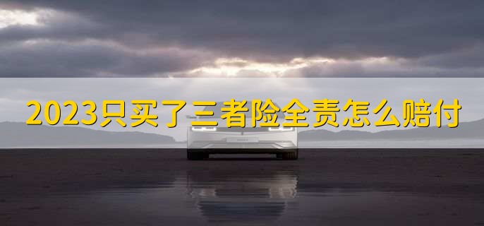 2023只买了三者险全责怎么赔付