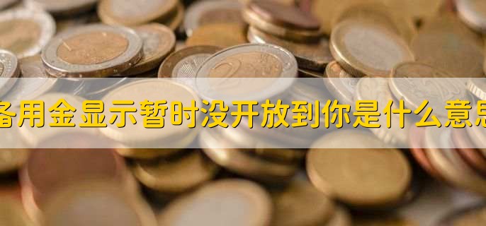 备用金显示暂时没开放到你是什么意思