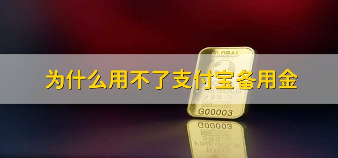 为什么用不了支付宝备用金