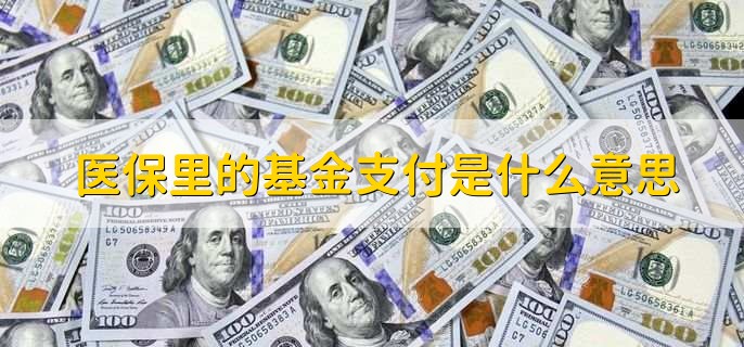 医保里的基金支付是什么意思