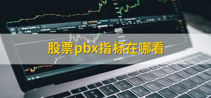 股票pbx指标在哪看