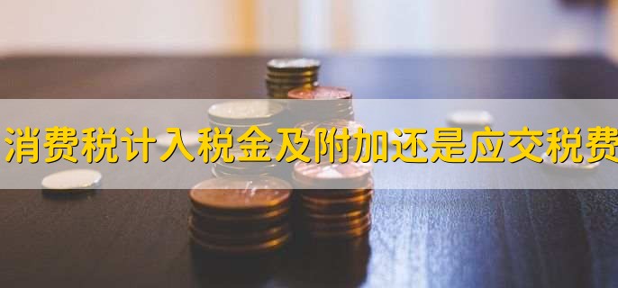 消费税计入税金及附加还是应交税费