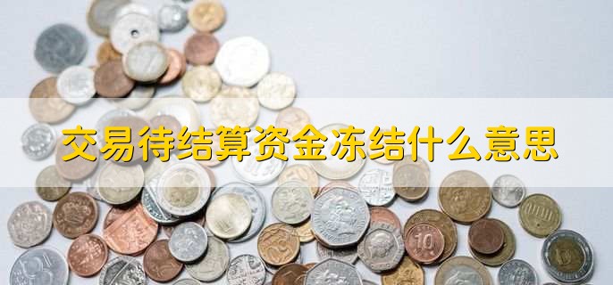 交易待结算资金冻结什么意思