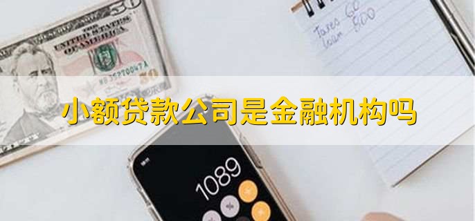 小额贷款公司是金融机构吗