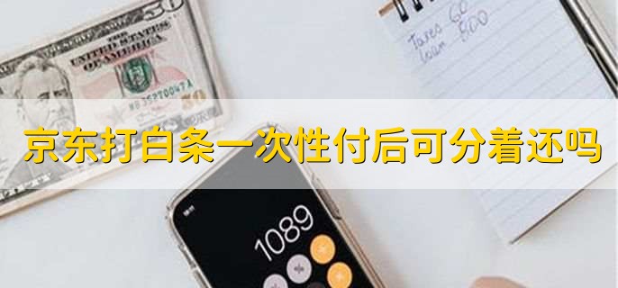 京东打白条一次性付了以后可以分着还吗，可以