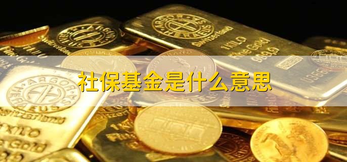 社保基金是什么意思