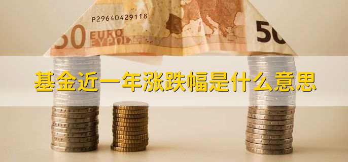 基金近一年涨跌幅是什么意思，基金过去一年涨跌幅情形