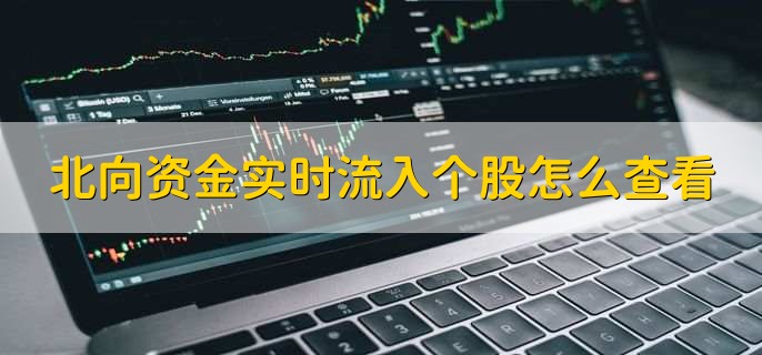 北向资金实时流入个股怎么查看