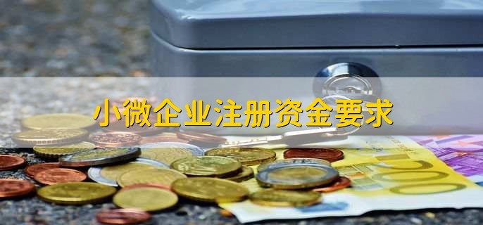 小微企业注册资金要求