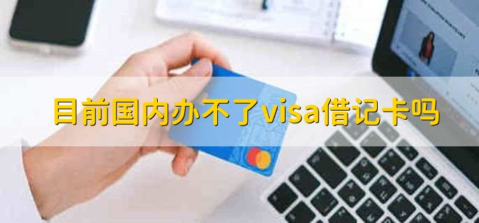 目前国内办不了visa借记卡吗