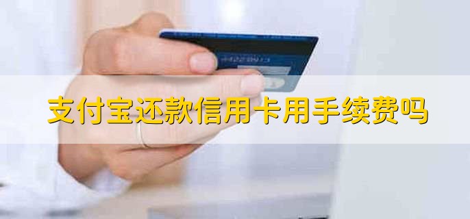 支付宝还款信用卡用手续费吗