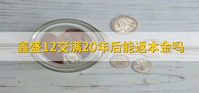 鑫盛12交满20年后能返本金吗