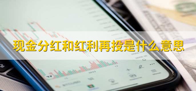 现金分红和红利再投是什么意思