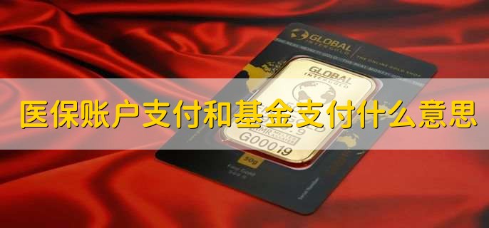 医保账户支付和基金支付什么意思