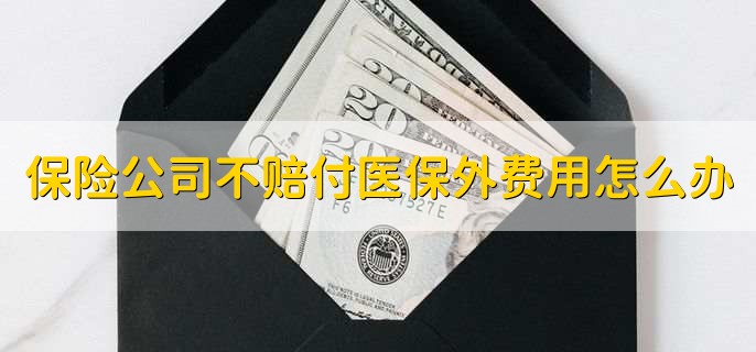 保险公司不赔付医保外费用怎么办