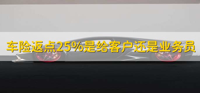 车险返点25%是给客户还是业务员