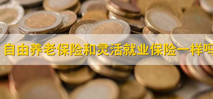 自由职业养老保险和灵活就业保险一样吗