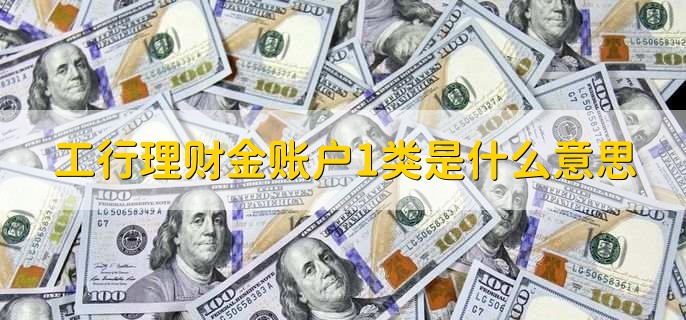 工行理财金账户1类是什么意思