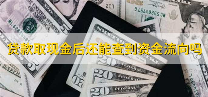 贷款取现金后还能查到资金流向吗