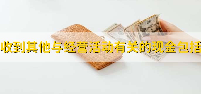 收到其他与经营活动有关的现金包括哪些