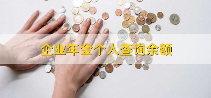 企业年金个人查询余额